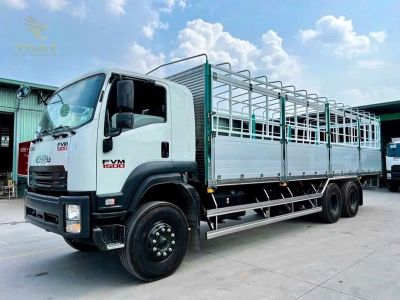 Hình ảnh minh họa các loại xe tải với chiều cao khác nhau, từ nhỏ đến lớn, phù hợp quy định vận tải.