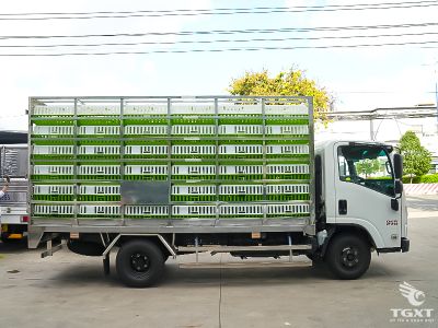 xe-tai-qkr-qmr77he5-2t2-thung-cho-gia-cam-4.jpg Xe tải Isuzu QKR QMR77HE5 2.2 Tấn thùng inox, vận chuyển gia cầm, an toàn, tiết kiệm nhiên liệu, phù hợp ngành chăn nuôi tại Việt Nam.