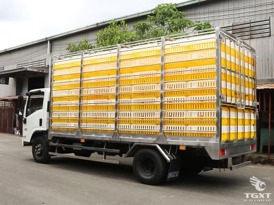 xe-tai-isuzu-nqr-nqr75le5-5t-thung-cho-gia-cam-4.jpg Xe tải Isuzu NQR NQR75LE5 5 tấn, thùng inox cao cấp chuyên chở gia cầm, hiệu quả vượt trội, tiết kiệm nhiên liệu, phù hợp doanh nghiệp ngành chăn nuôi.