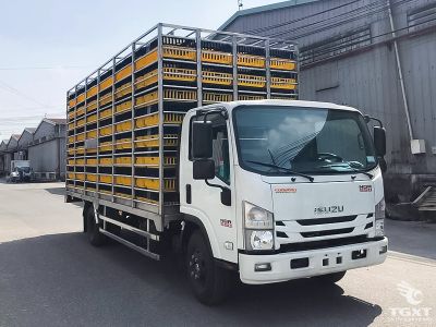 Xe tải Isuzu NQR75ME5 4 tấn chở gia cầm, động cơ Euro 5, thiết kế an toàn, bền bỉ, phù hợp nhu cầu vận chuyển chăn nuôi.