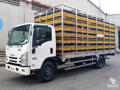 Xe tải Isuzu NQR75ME5 4 tấn chuyên vận chuyển gia cầm, thiết kế an toàn, động cơ Euro 5, độ bền cao, phù hợp doanh nghiệp ngành chăn nuôi.