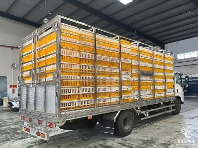Xe tải Isuzu NQR75ME5 4 tấn chở gia cầm, động cơ Euro 5, thiết kế an toàn, bền bỉ, phù hợp vận chuyển ngành chăn nuôi.