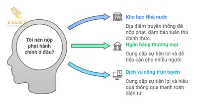 Lỗi rơi vãi phạt bao nhiêu tiền? Mức xử phạt mới nhất theo quy định pháp luật