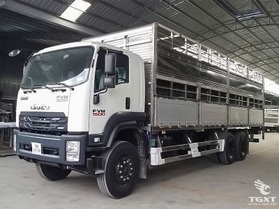 Xe tải Isuzu FVM60WE5 chuyên vận chuyển gia súc, thiết kế an toàn, động cơ mạnh mẽ, tiết kiệm nhiên liệu, phù hợp vận chuyển trang trại.
