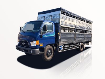 Xe Tải Hyundai Mighty W11XL 7 Tấn Chở Gia Súc - Euro 5
