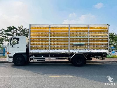 Xe tải Hino FG8JP8A 8 tấn chở gia cầm, chống ăn mòn, khí thải Euro 5, vận hành hiệu quả, phù hợp ngành chăn nuôi và logistics.