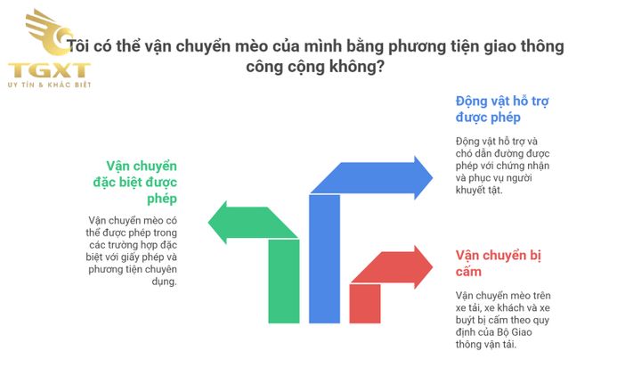 Hình minh họa về quy định không mang mèo lên xe tải và các phương tiện giao thông công cộng.