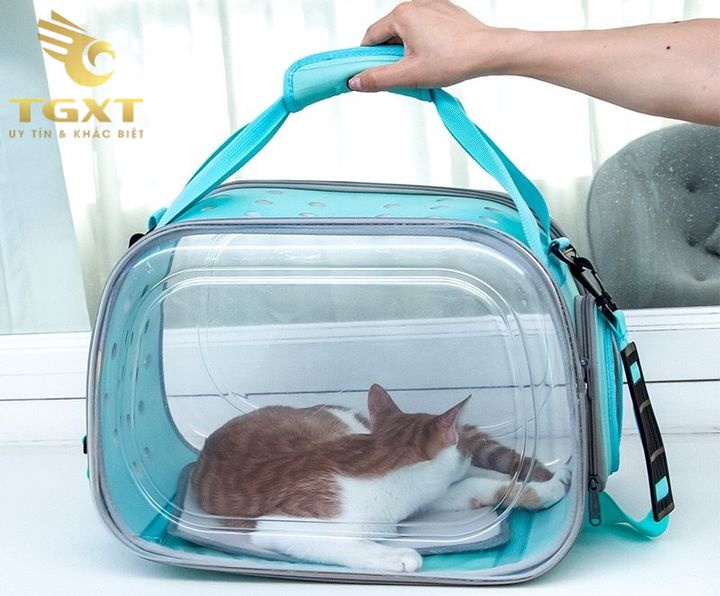 Xe tải tránh mang mèo lên, đảm bảo an toàn và quy định pháp luật.