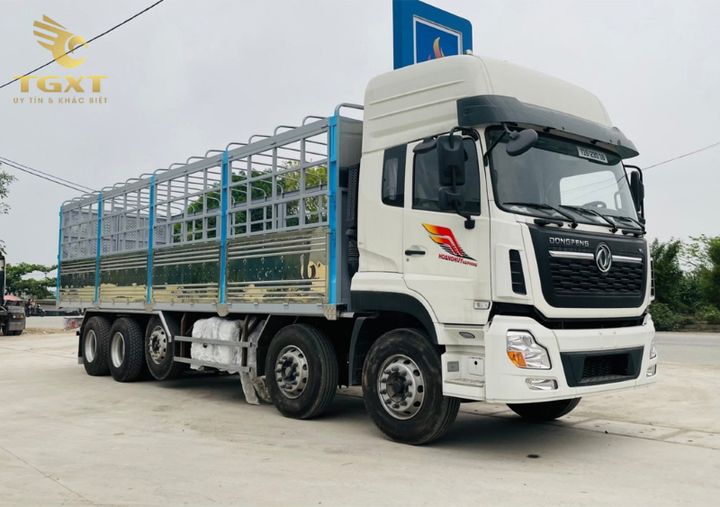 Nghi lễ cúng xe truyền thống Việt Nam, biểu tượng cho sự an toàn và may mắn trên đường.