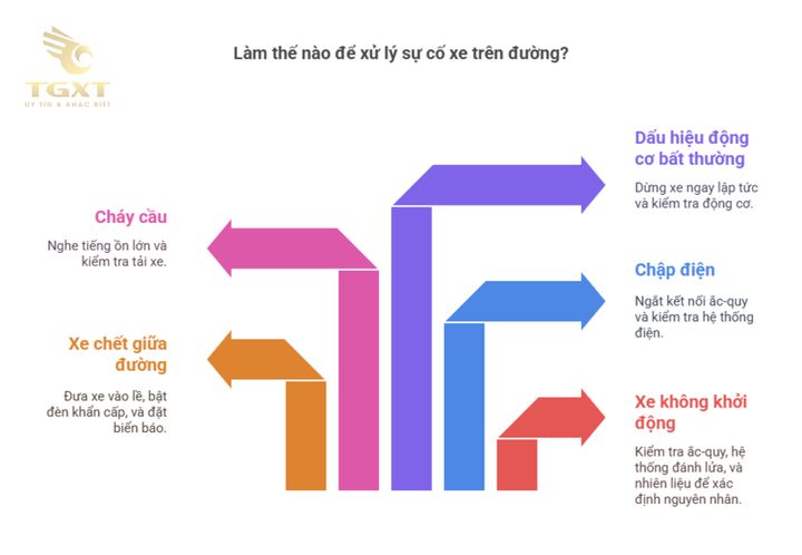 Kinh nghiệm vận hành và bảo trì xe tải từ tài xế lâu năm, giúp tăng tuổi thọ xe và an toàn tối đa.